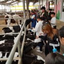 통진목장 이미지