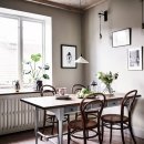 식물 인테리어 이미지