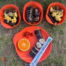 거대김밥 | 2025 김천 김밥축제 당일치기 후기