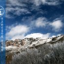 선기로1-2 이미지