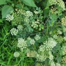 광덕1리 마을회관 이미지