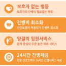 가제트병원 이미지