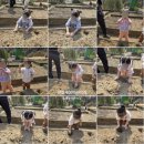 유아 꼬물꼬물 요리교실 | 안양 새봄 어린이집 감자 수확 체험 후기 | 4세-7세 유아 텃밭 활동