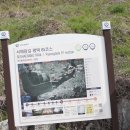 노양1리마을회관 | 아산~평택~화성구간5) (노양1리 마을회관정류장 ~쌀조개섬~백석포2리마을회관~공세리성당입구~인주공단...