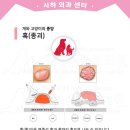 태민동물병원 네이버블로그