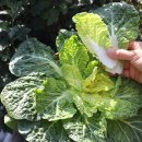 협성상회 이미지