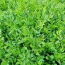 토러스농장 이미지