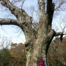 연동파출소 이미지