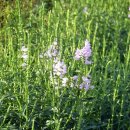 산에는 꽃이피네민박 이미지