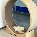 이솜동물병원 이미지