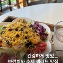 샐러피 이미지