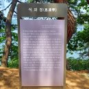식파정 이미지