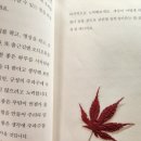 「당신은 결국 무엇이든 해내는 사람」 김상현 작가 강연 | 당신은 결국 무엇이든 해내는 사람 by 김상현