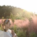 아타요가 - 광산구 사암로340번안길 6-5 | 아타요가