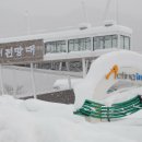 황태덕장 이미지