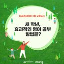 샐리잉글리시
