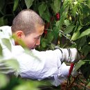 하늘땅바람 이미지