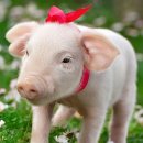 플로라뷰티 이미지