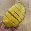 하연민박 이미지