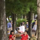 성동 서울숲 여름캠핑장 이미지