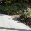 관음사 화장실 이미지