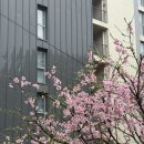 CU제주동남점 | [제주 서귀포] 서귀포 올레시장 가성비 좋은 숙소 추천 “디아일랜드블루호텔”
