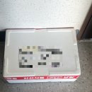 옛날 그 맛! 쌀떡볶이 밀키트 후기 [중독언니네]