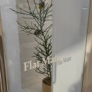 메이트 | 전주 웨리단길 카페 | 플랫메이트 솔직후기 (호주식 커피,디저트)