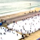 이브파크장 이미지