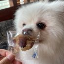 바르개맛있개 이미지