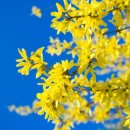 부산농장 이미지