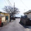 신례교차로 2 이미지