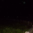 광주호 호수생태원의 밤 이미지