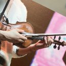 낭만왈왈이 이미지