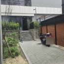 윈저쥬니어 이미지