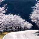 합천고려병원 이미지