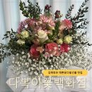 갑을장유병원(1510) | 김해꽃집 장유꽃집 내돈내산 다복이꽃백화점 꽃다발선물 예쁜꽃다발