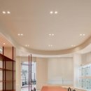 디어퍼피 이미지