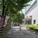 카페 파구스 만나점