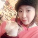 킹콩하우스 애견카페 이미지