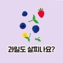 루해빗수서역점 이미지