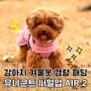 시선강탈 프레젠테이션 디자인 | 강아지 겨울옷 경량 발열 패딩, 뮤니쿤트 써멀업 AIR2 시선강탈 후기