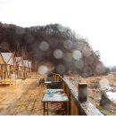 와이글램핑 이미지