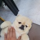 아롱네일 이미지