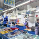 조은3호 이미지