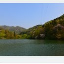 세량제 이미지