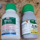 귤나방 이미지