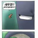 깡다구 이미지