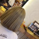 브라운버즈 이미지