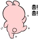 스튜디오풀라이트 이미지